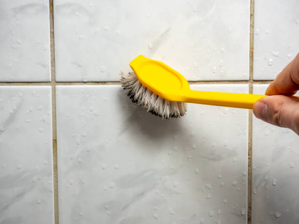 Best Preventive Mold Services in Munfordville, KY