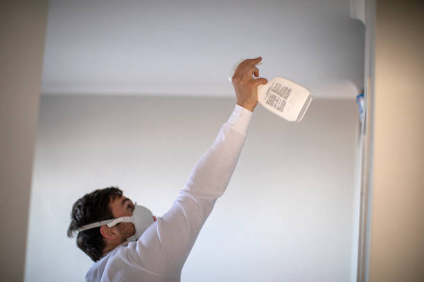 Best Insurance-Related Mold Remediation in Munfordville, KY