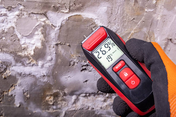 Best Residential Mold Remediation in Munfordville, KY