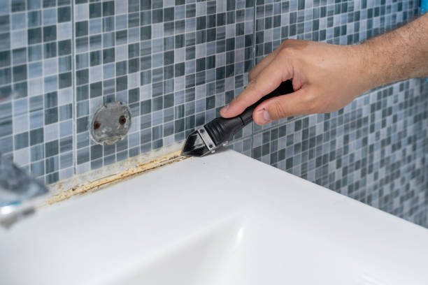 Best Commercial Mold Remediation in Munfordville, KY