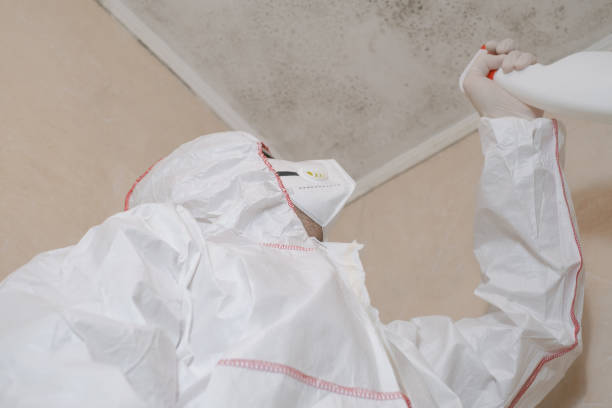 Best Industrial Mold Remediation in Munfordville, KY
