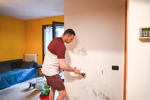 Best Mold Remediation for Specific Building Types in Munfordville, KY