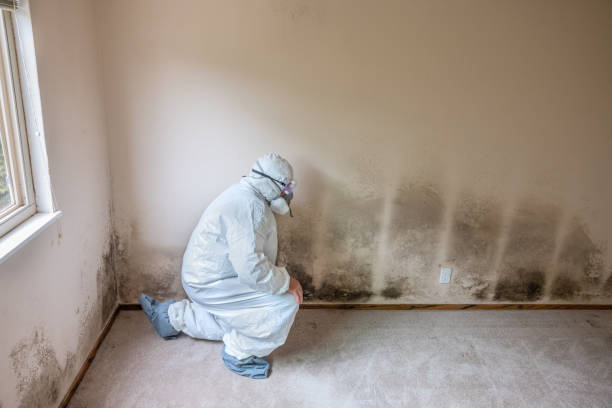 Munfordville, KY Mold Remediation Company